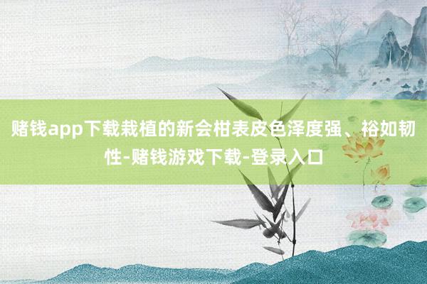 赌钱app下载栽植的新会柑表皮色泽度强、裕如韧性-赌钱游戏下载-登录入口