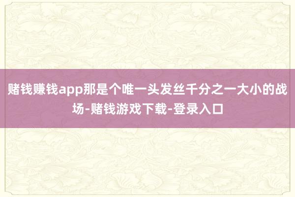 赌钱赚钱app那是个唯一头发丝千分之一大小的战场-赌钱游戏下载-登录入口